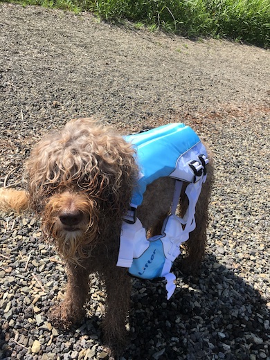 Img_4063_2 Img_4063_2