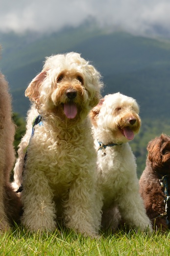 Dsc_9207_2 Dsc_9207_2