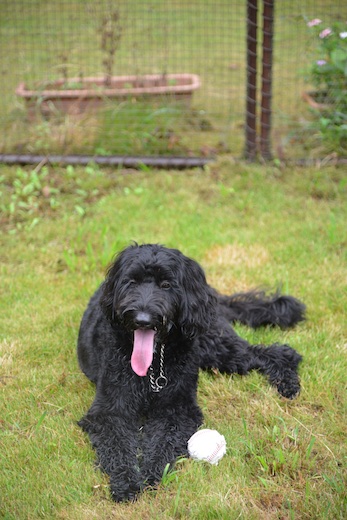 Dsc_0615_2 Dsc_0615_2