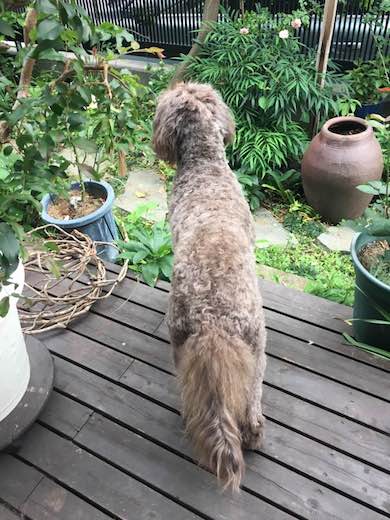 18519800_797531090406394_5213330857