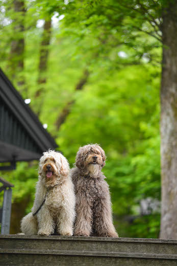 Dsc_4761_2 Dsc_4761_2