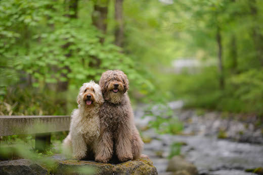 Dsc_47933_2 Dsc_47933_2