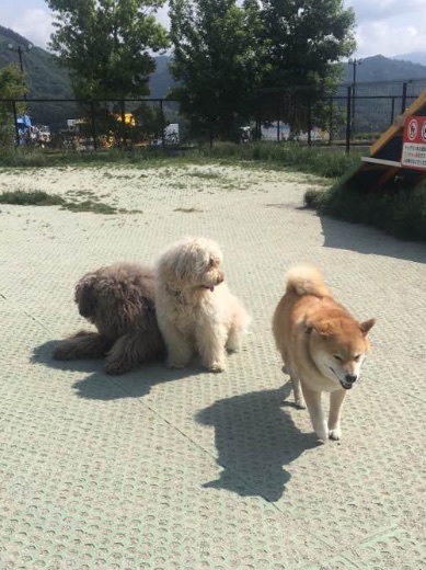 19145909_812867908872712_4958891515