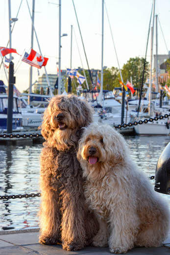 Dsc_7068_3 Dsc_7068_3