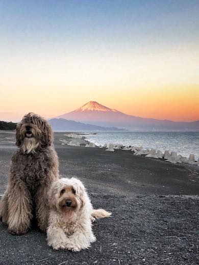 24899790_903087329850769_2180215812 24899790_903087329850769_2180215812