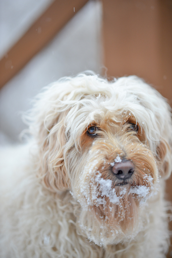 Dsc_3714_2 Dsc_3714_2