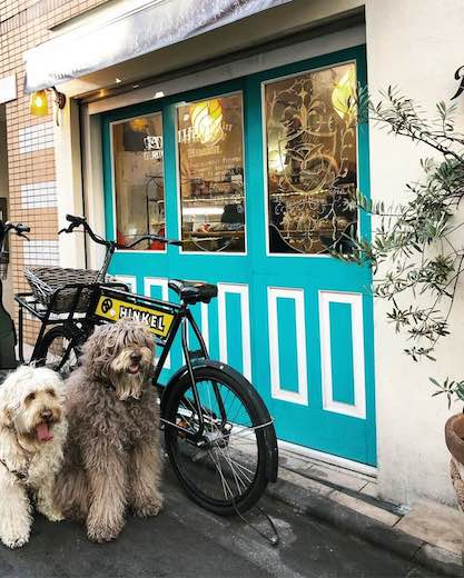 26814622_921762924649876_8823194292