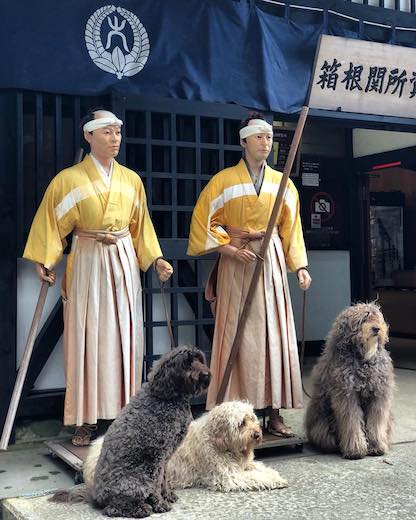 27751548_934844090008426_7969181746