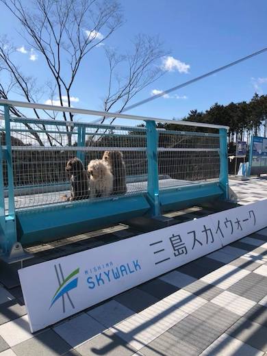 27973330_934844210008414_1237112144