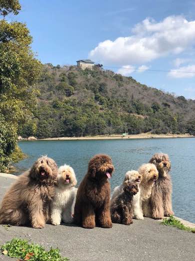 29511505_957091667783668_1229550443 29511505_957091667783668_1229550443