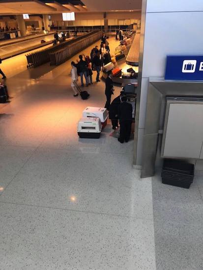 32151411_981872061972295_8094649245