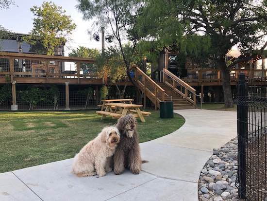 34686475_996510087175159_17877517_2