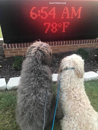 38072388_1049459125213588_771486672