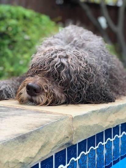 38879487_1059264640899703_821100532 38879487_1059264640899703_821100532