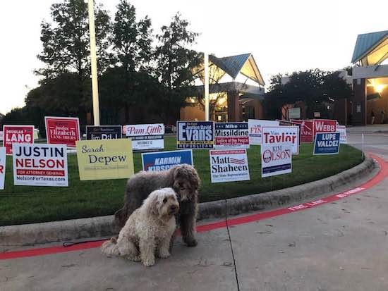 45613475_1119141068245393_243212902