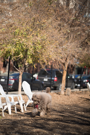 20181210_dsc3324 20181210_dsc3324