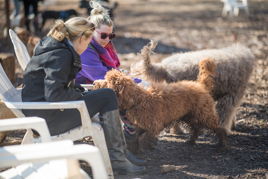 20181210_dsc3328 20181210_dsc3328