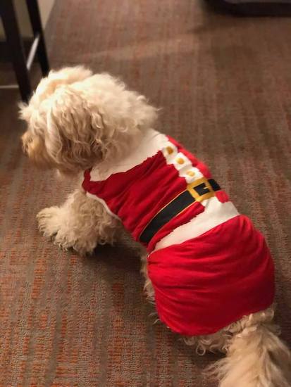 49087126_1155056417987191_401885139 49087126_1155056417987191_401885139