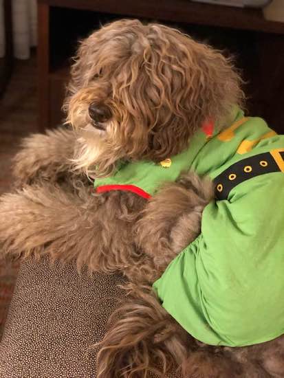 49153898_1155056364653863_164021931 49153898_1155056364653863_164021931