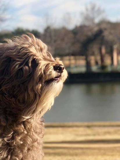 49267132_1157271727765660_707912752 49267132_1157271727765660_707912752