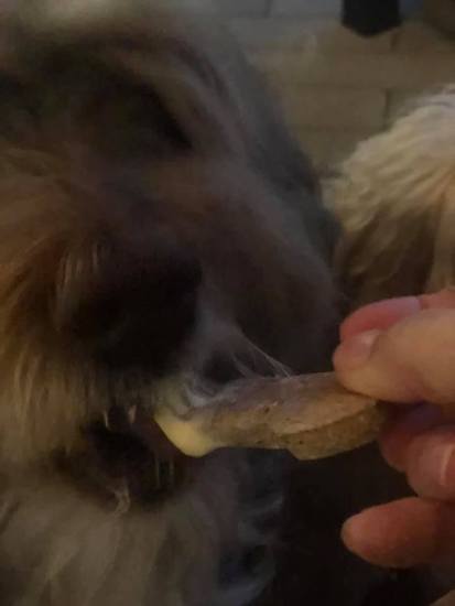 49514476_1157271597765673_624166868