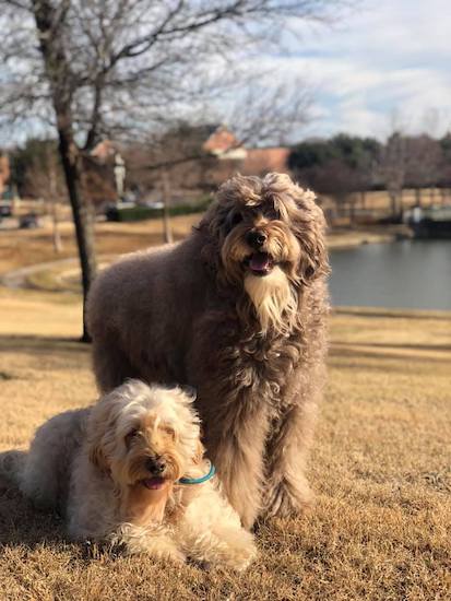 49564202_1157271697765663_843130963