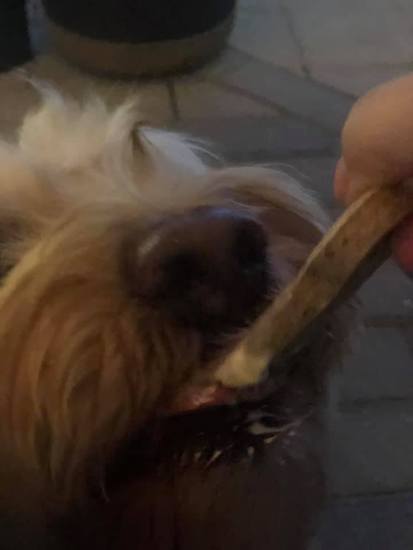 49857679_1157271574432342_709963919