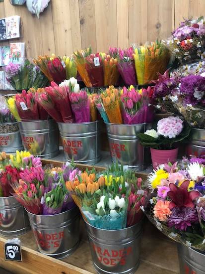 52665250_1194540357372130_173419996