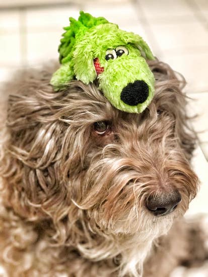 52828079_1194540114038821_191756267 52828079_1194540114038821_191756267