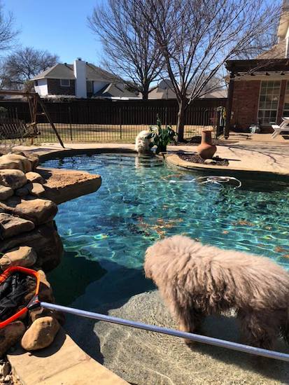 52918004_1194568177369348_716917579