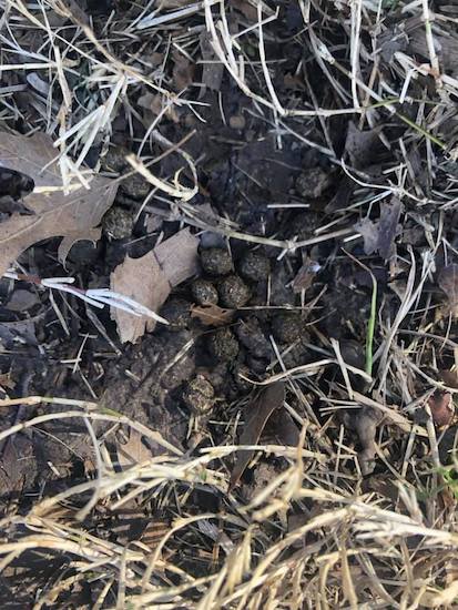 53036205_1194540217372144_786856388 53036205_1194540217372144_786856388