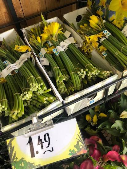 53066213_1194540324038800_3172746_2 53066213_1194540324038800_3172746_2