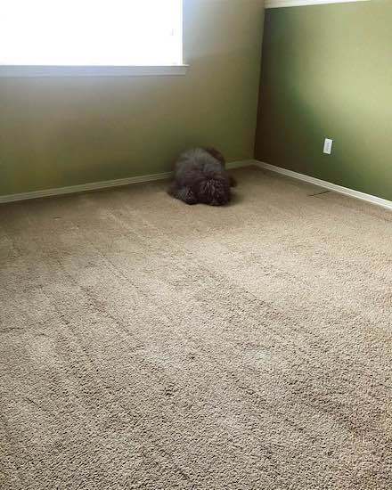 53294716_1200235786802587_8193825_2 53294716_1200235786802587_8193825_2