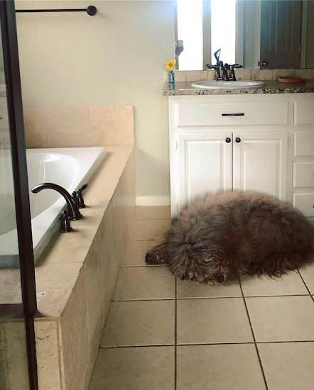 53841486_1200235846802581_403108210 53841486_1200235846802581_403108210