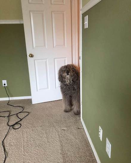 54210520_1200235716802594_285265607